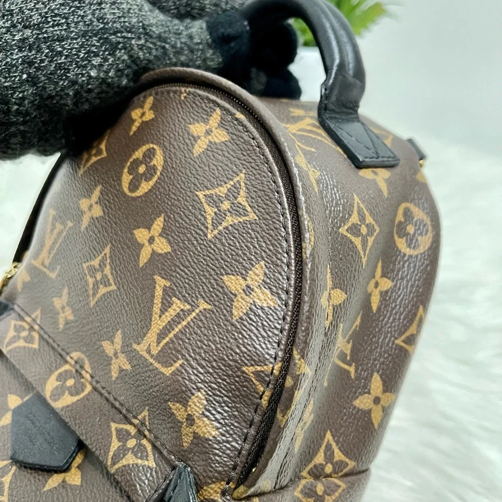 Palm Spring Mini - Picture 9 of 12